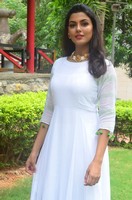 Anisha Ambrose Wet Dress Photos